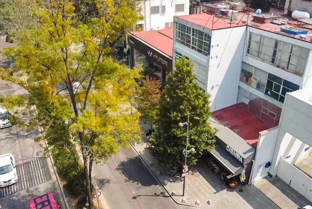 ¡Nuevo! Bamboo Celebrity Cidade do México Exterior foto